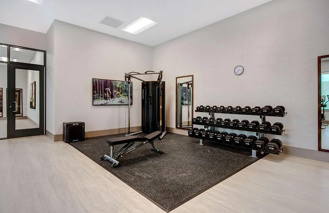Embassy Suites By Hilton Alpharetta Halcyon-1